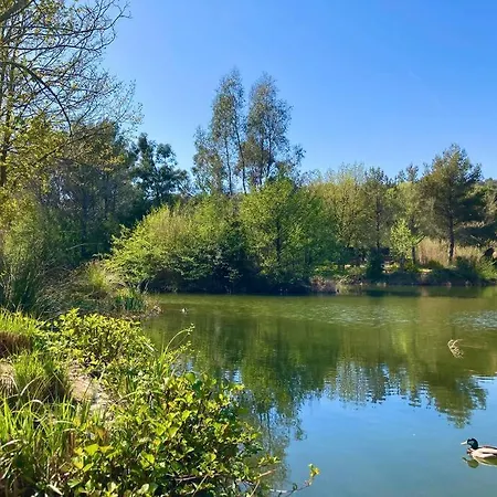 Les Restanques Bougainvillee 2051 Apartment Grimaud